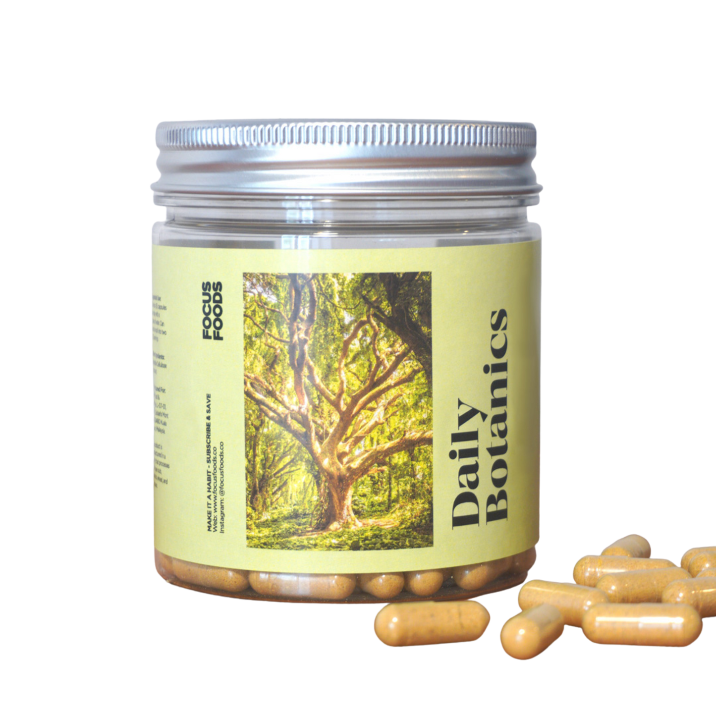 Focus Foods 2023 Feel Better, Think Better Trio