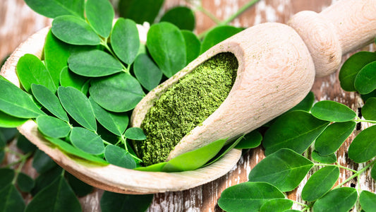 Unveiling the Power of Moringa: A Nutrient-Packed Superfood